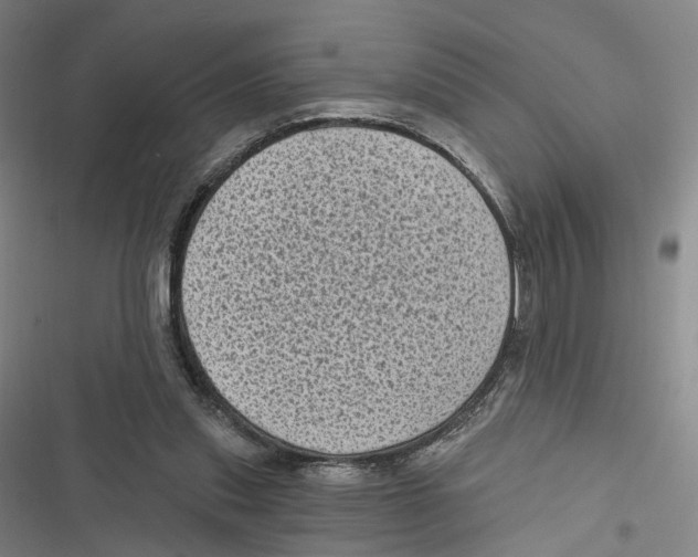 X0000116610253201001081217