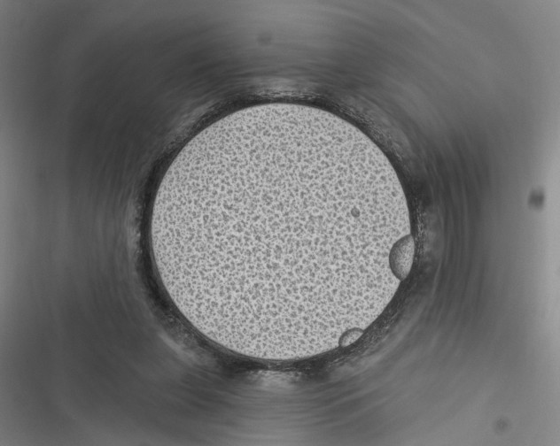 X0000116610255201001081217