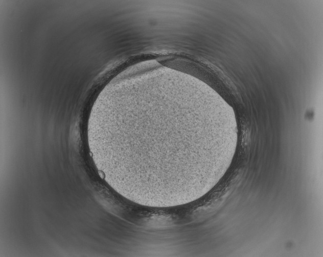 X0000116610256201001081217