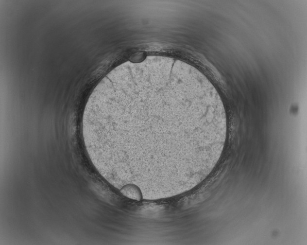 X0000116610257201001081217