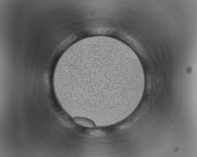 X0000116610258201001081217