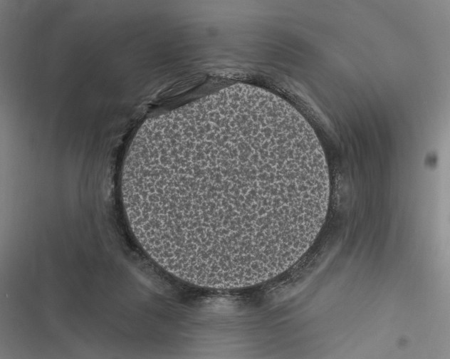 X0000116610259201001081217