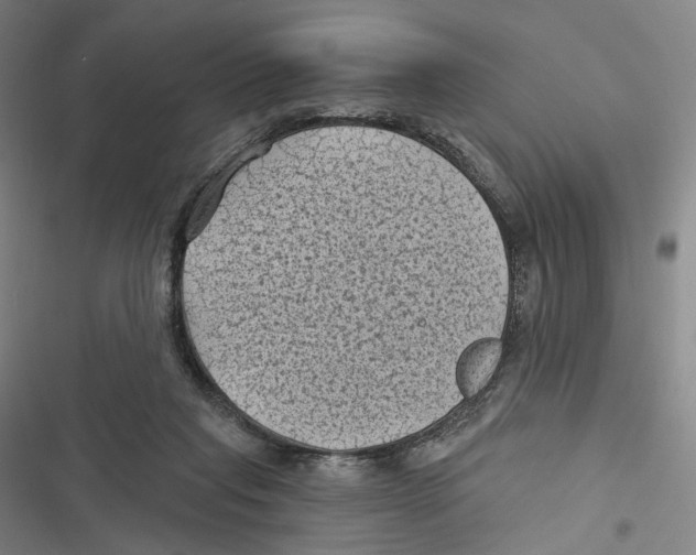 X0000116610261201001081217