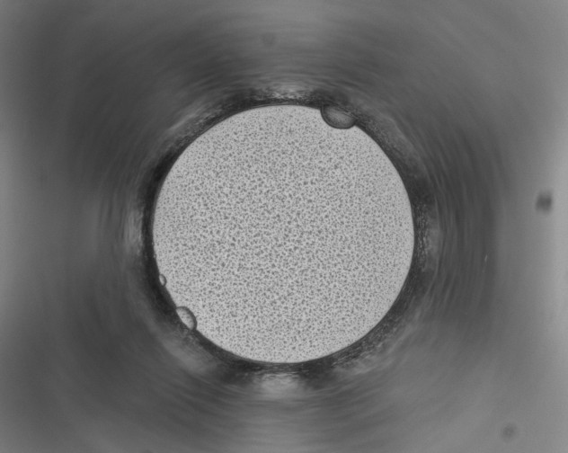 X0000116610262201001081217