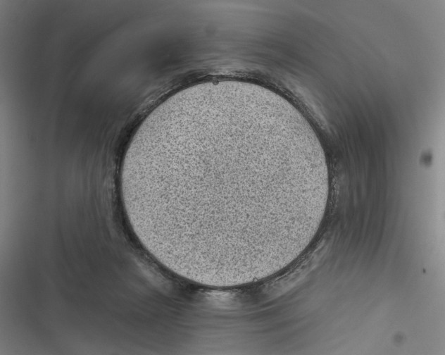 X0000116610265201001081217