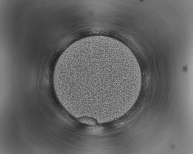 X0000116610266201001081217