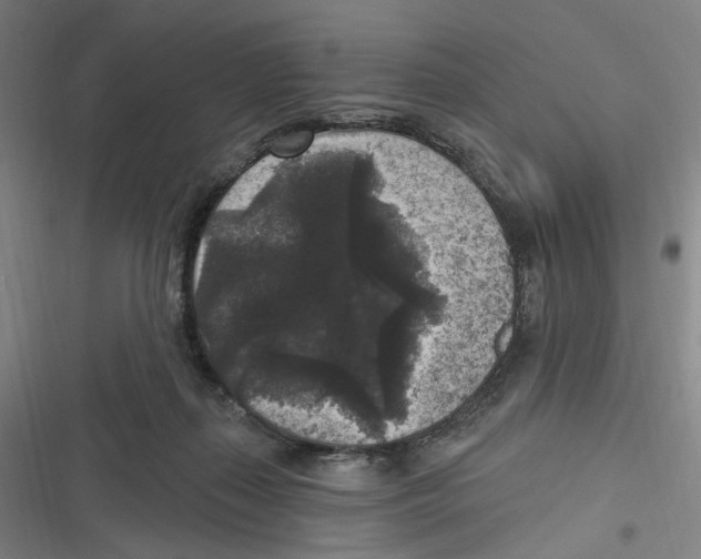 X0000116610267201001081217