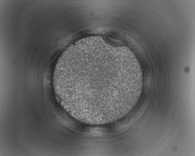 X0000116610268201001081217