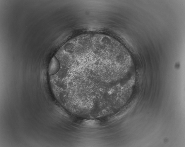 X0000116610269201001081217