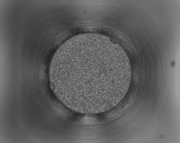 X0000116610270201001081217