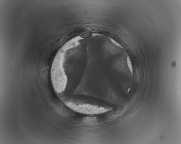 X0000116610271201001081217