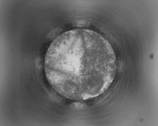 X0000116610272201001081217