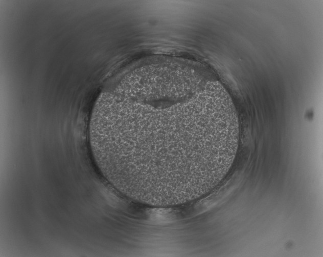 X0000116610273201001081217