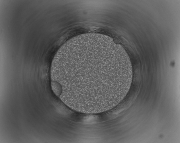 X0000116610274201001081217