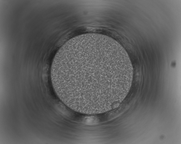 X0000116610275201001081217