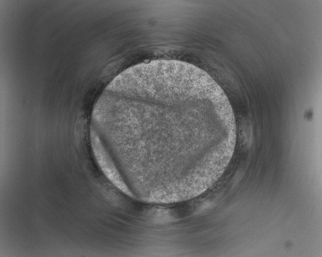 X0000116610276201001081217