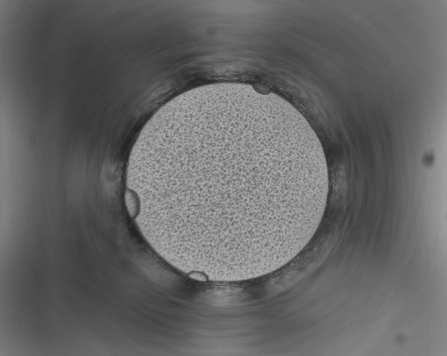 X0000116610278201001081217