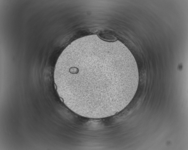 X0000116610280201001081217