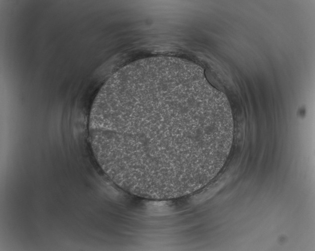 X0000116610281201001081217