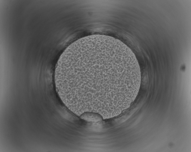 X0000116610282201001081217