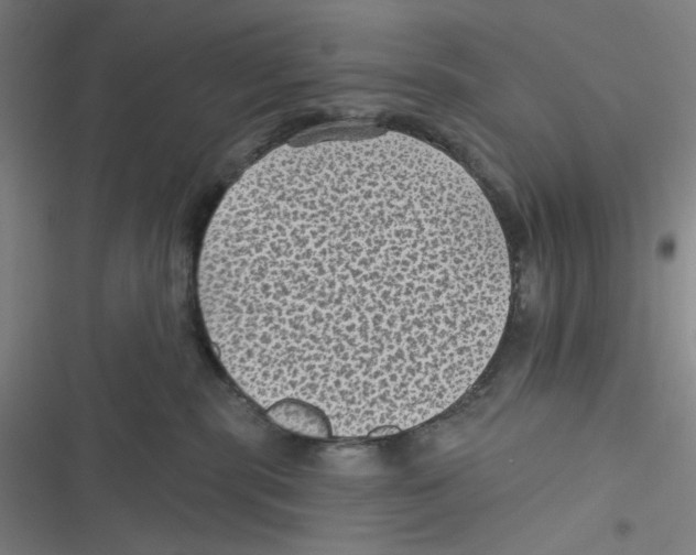 X0000116610283201001081217