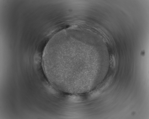 X0000116610284201001081217