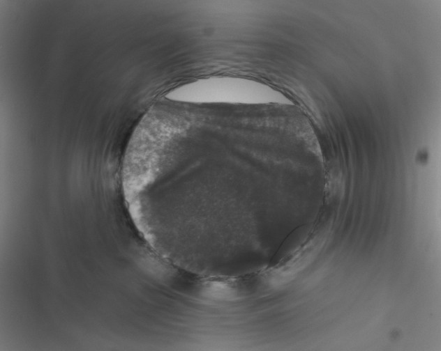 X0000116610285201001081217