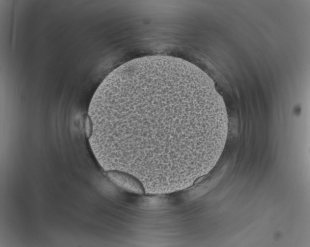 X0000116610286201001081217