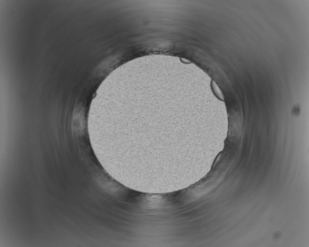 X0000116610287201001081217