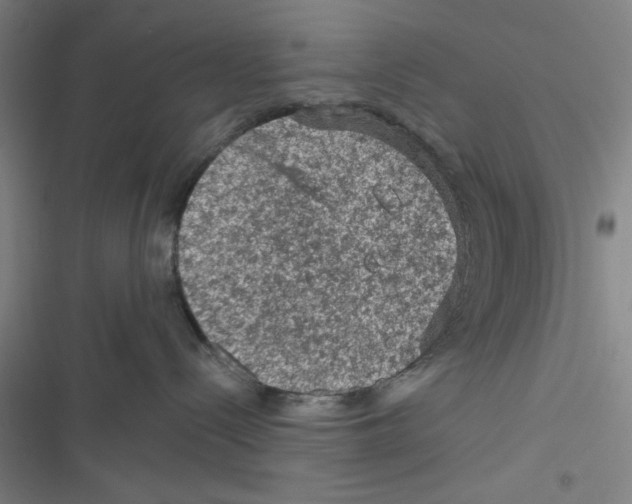 X0000116610288201001081217