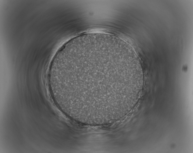 X0000116610289201001081216