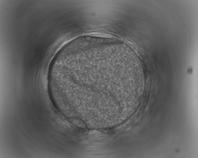 X0000116610290201001081216