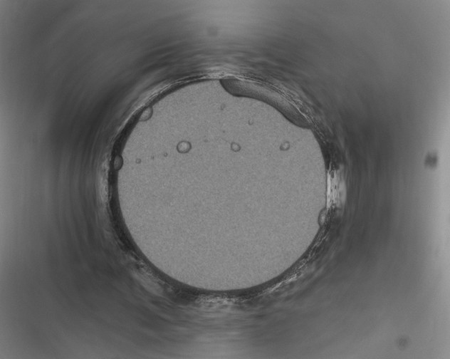 X0000116610291201001081216