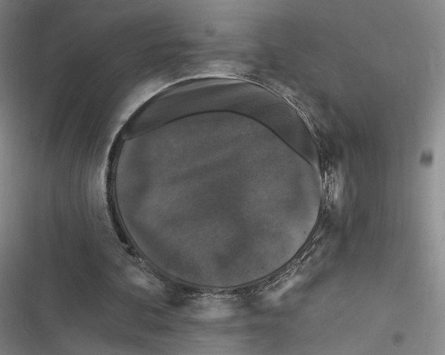 X0000116610292201001081216