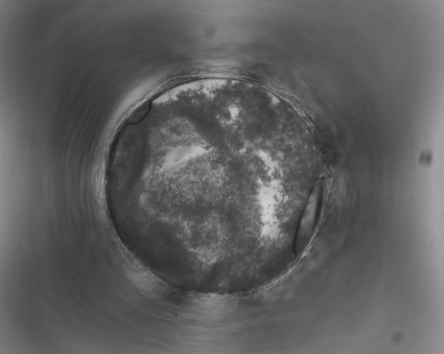 X0000116610293201001081216