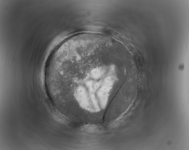 X0000116610294201001081216