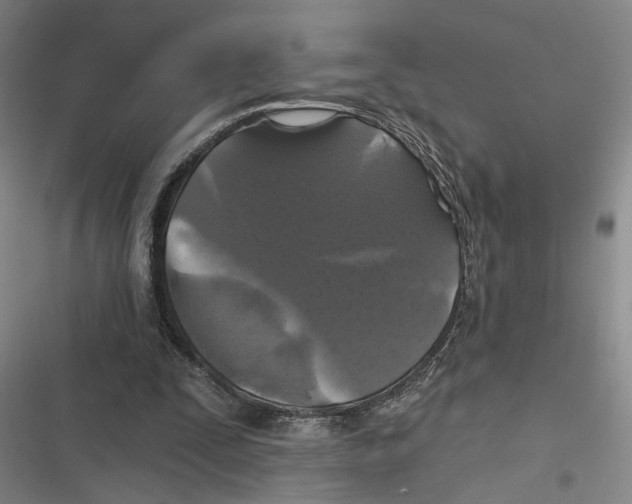 X0000116610295201001081216