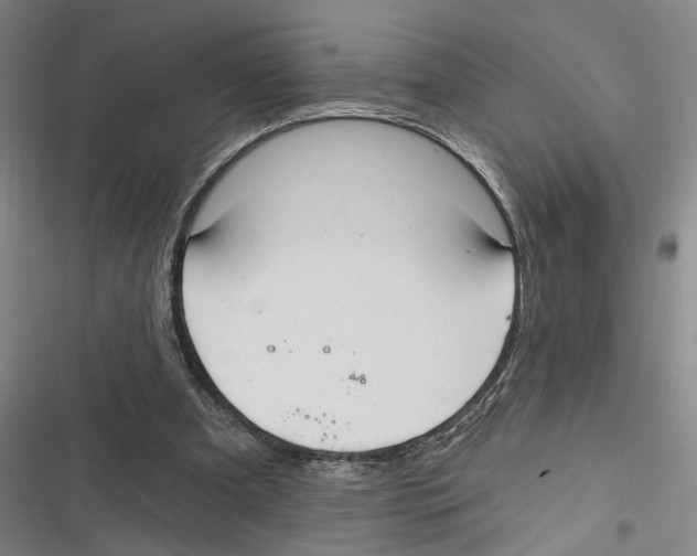 X0000116610297201001081216