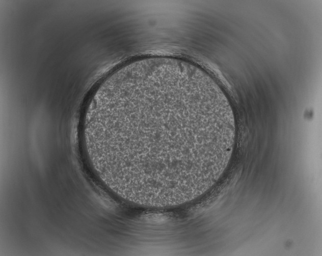 X0000116610299201001081216