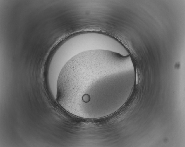 X0000116610300201001081216