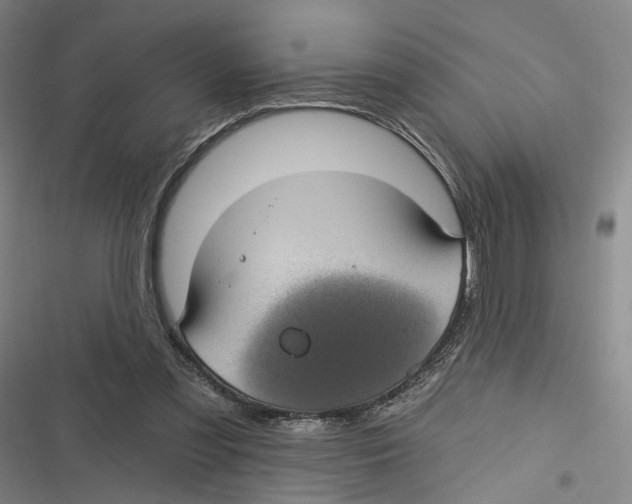 X0000116610301201001081216