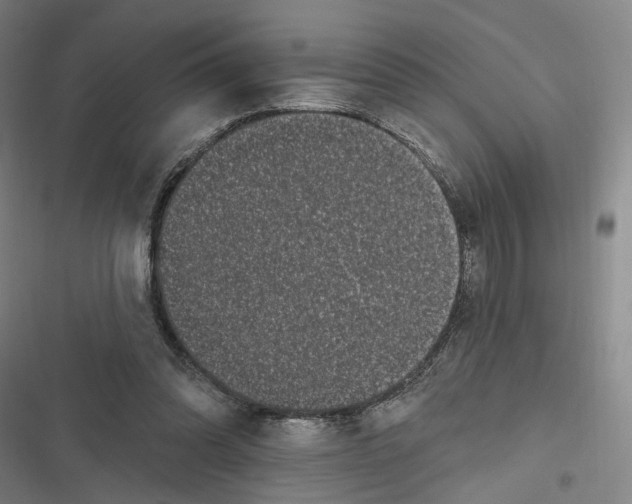 X0000116610302201001081216