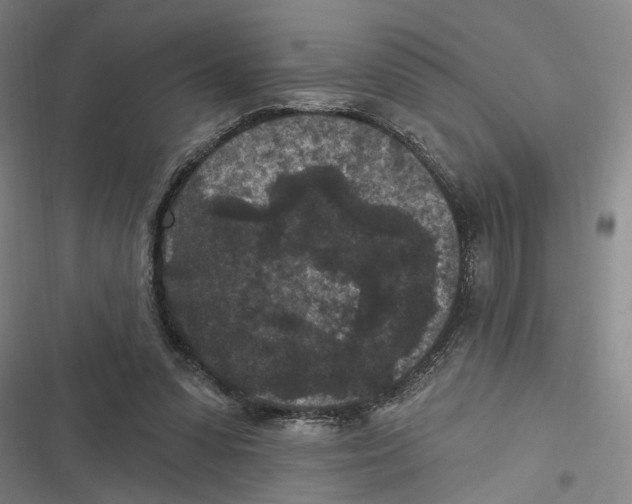 X0000116610303201001081216