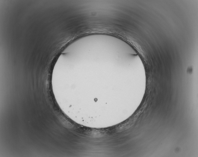 X0000116610305201001081216