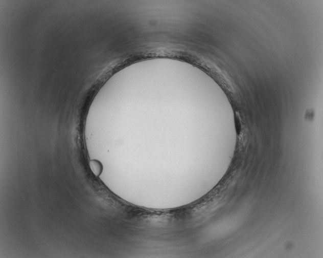 X0000116610306201001081216