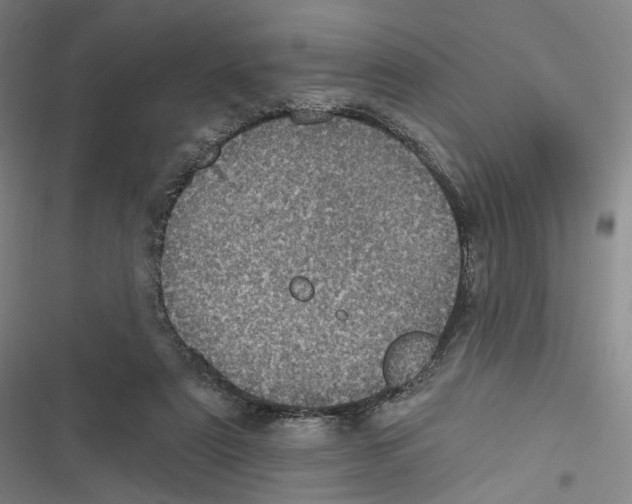 X0000116610307201001081216