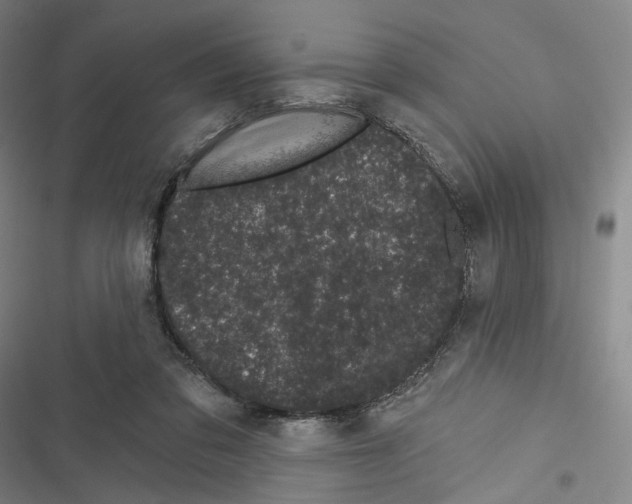 X0000116610309201001081216