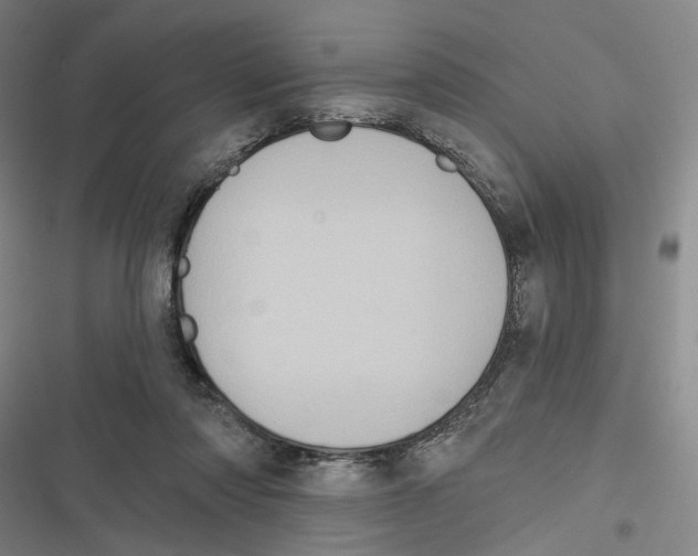 X0000116610310201001081216