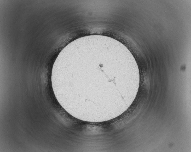 X0000116610311201001081216