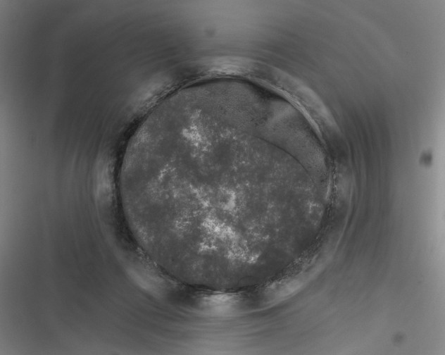 X0000116610312201001081216